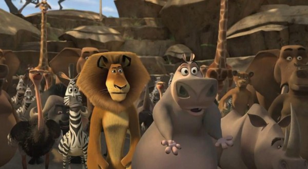 Alex the Lion, Gloria the Hippo, Marty the Zebra and Melman the Giraffe are all back for Madly Madagascar!