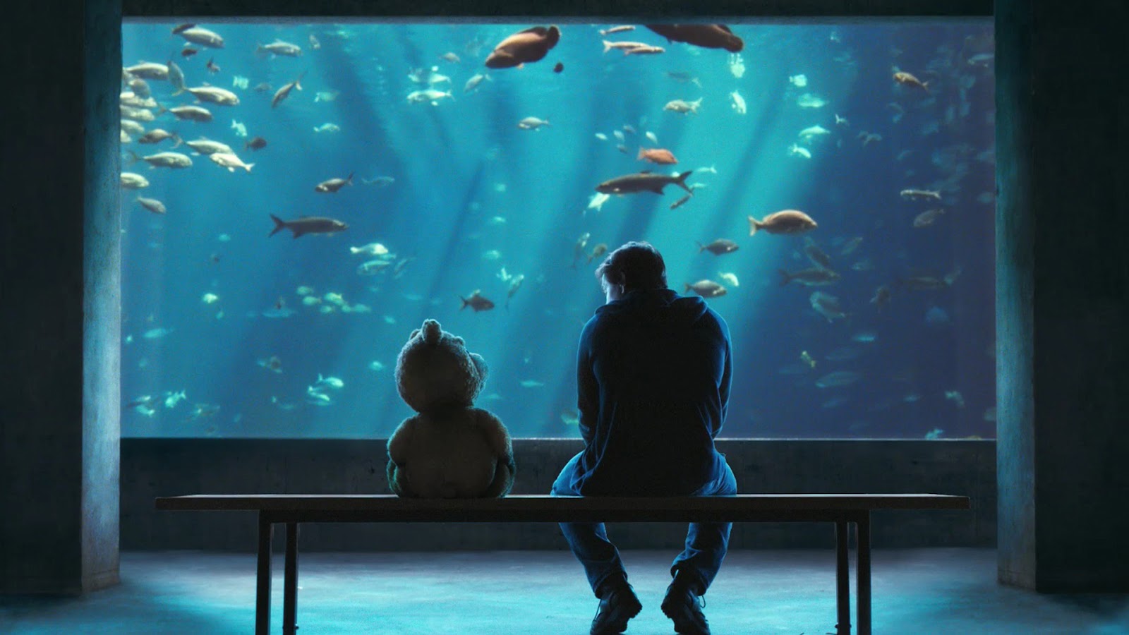 Ted+Movie+Ted+and+Johnny+Mark+Wahlberg+at+Aquarium1.jpg