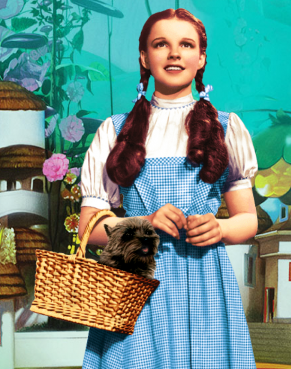 See Judy Garland and the world of OZ in glorious IMAX 3D
