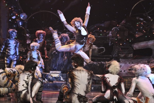 The La Mirada Theater of the Performing Arts cast of CATS (photo by Michael Lamont)