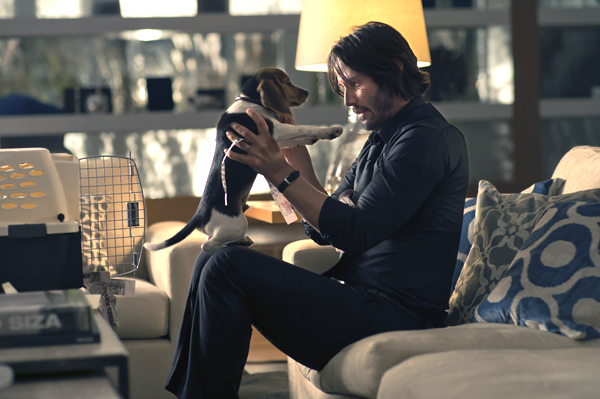 John Wick (Keanu Reeves) gets a puppy named Daisy